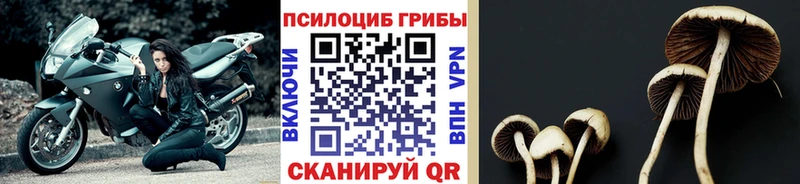 Галлюциногенные грибы мухоморы  Купить где  Алушта 