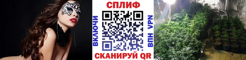 Марихуана ГИДРОПОН  Купить  Алушта 
